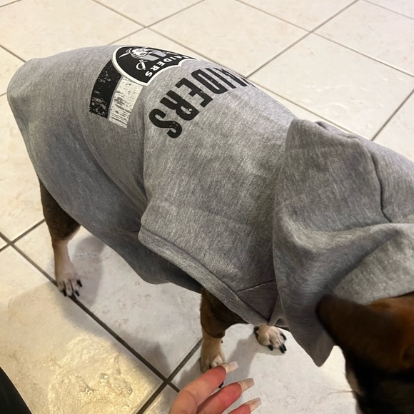 Raiders large dog sweater - Picture 3 of 3